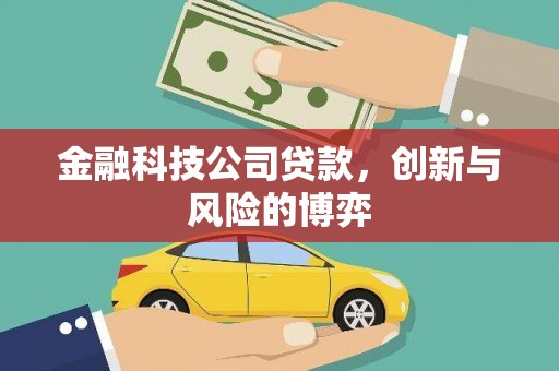 神农架金融科技公司贷款，创新与风险的博弈