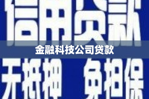 神农架金融科技公司贷款