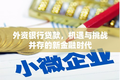 神农架外资银行贷款，机遇与挑战并存的新金融时代