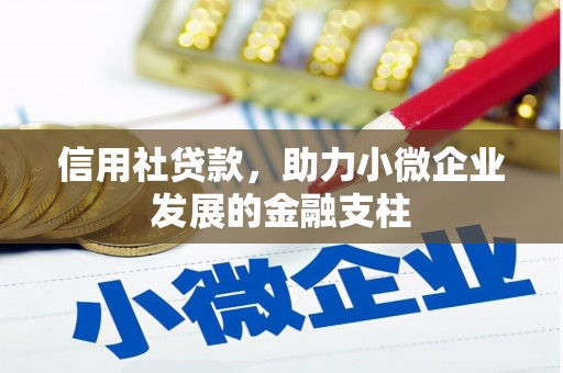 神农架信用社贷款，助力小微企业发展的金融支柱