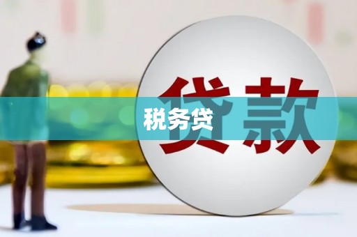 神农架税务贷