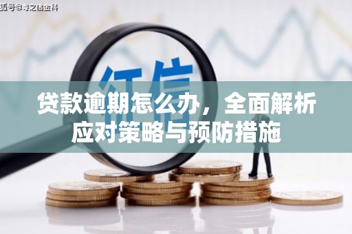 神农架贷款逾期怎么办，全面解析应对策略与预防措施