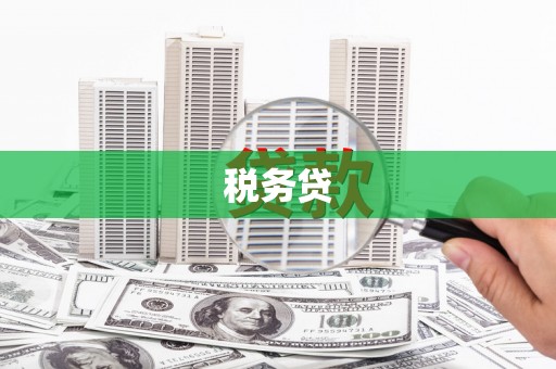 神农架税务贷