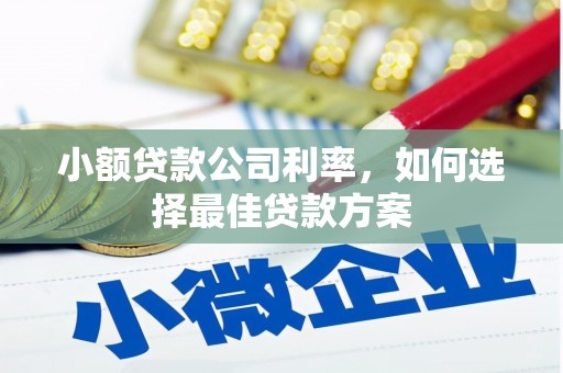 神农架小额贷款公司利率，如何选择最佳贷款方案