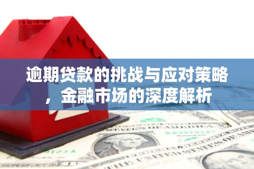 神农架逾期贷款的挑战与应对策略，金融市场的深度解析