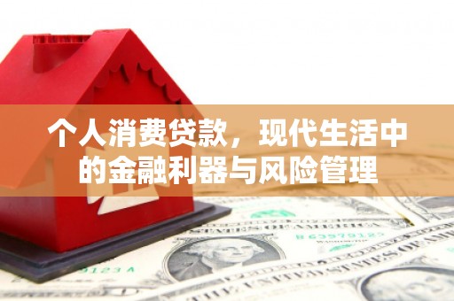 神农架个人消费贷款，现代生活中的金融利器与风险管理