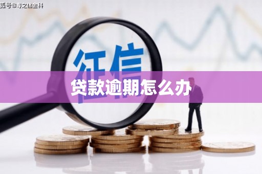 神农架贷款逾期怎么办