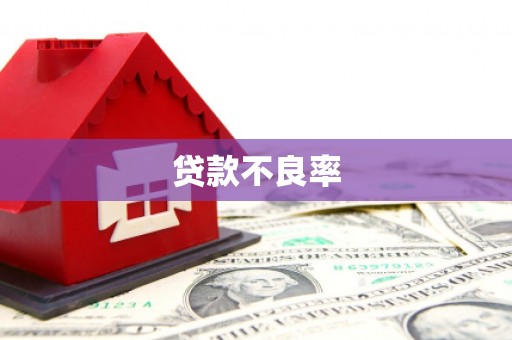 神农架贷款不良率