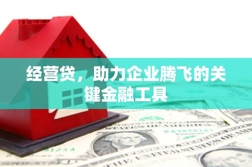 神农架经营贷，助力企业腾飞的关键金融工具