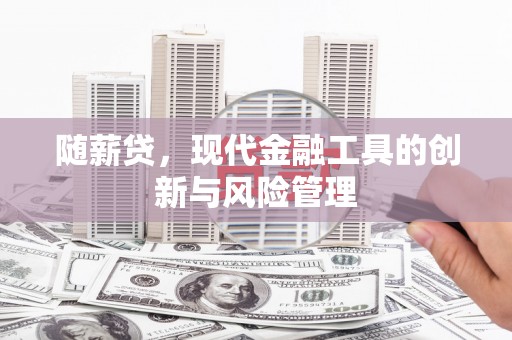 神农架随薪贷，现代金融工具的创新与风险管理