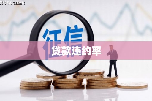 神农架贷款违约率