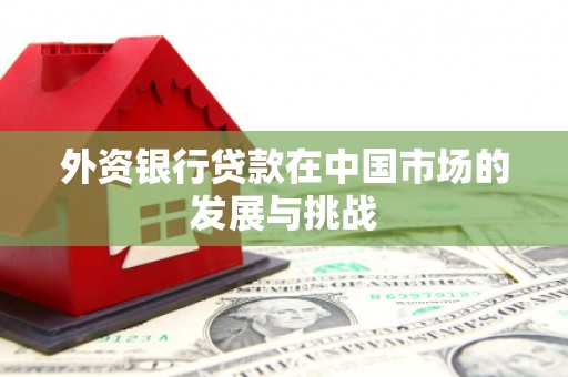 神农架外资银行贷款在中国市场的发展与挑战