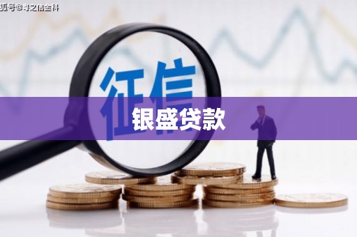 神农架银盛贷款