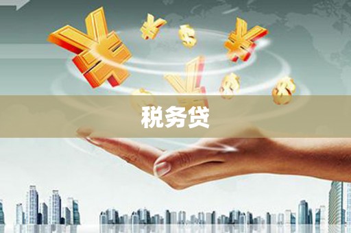 神农架税务贷