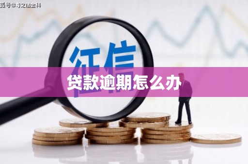 神农架贷款逾期怎么办