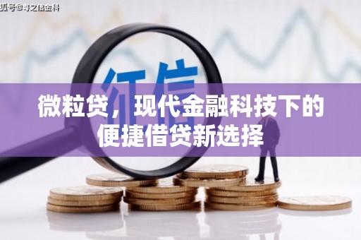 神农架微粒贷，现代金融科技下的便捷借贷新选择