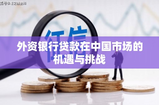 神农架外资银行贷款在中国市场的机遇与挑战