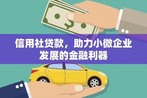 神农架信用社贷款，助力小微企业发展的金融利器