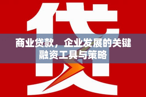 神农架商业贷款，企业发展的关键融资工具与策略