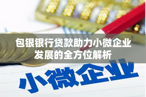 神农架包银银行贷款助力小微企业发展的全方位解析
