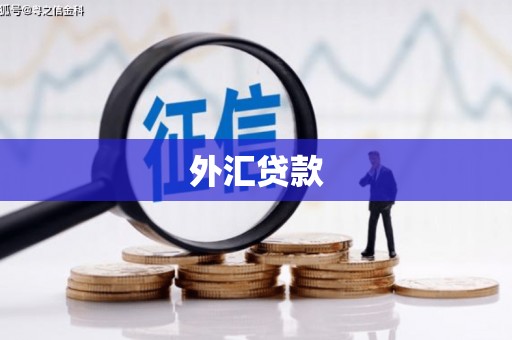 神农架外汇贷款