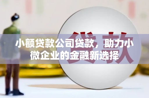 神农架小额贷款公司贷款，助力小微企业的金融新选择
