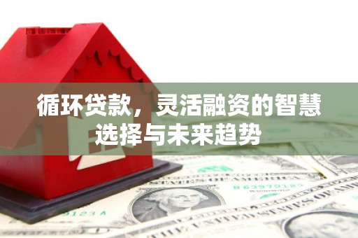 神农架循环贷款，灵活融资的智慧选择与未来趋势