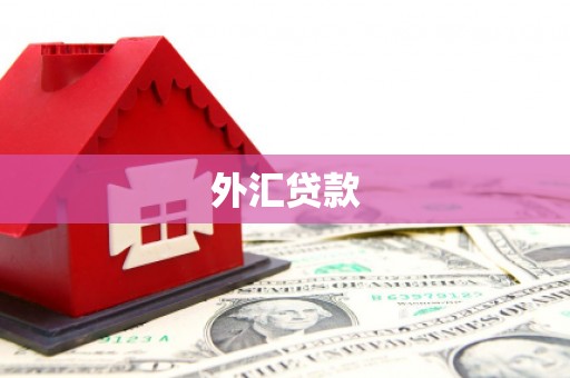 神农架外汇贷款