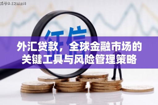 神农架外汇贷款，全球金融市场的关键工具与风险管理策略