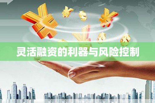 神农架灵活融资的利器与风险控制