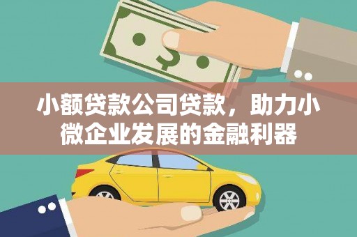 神农架小额贷款公司贷款，助力小微企业发展的金融利器