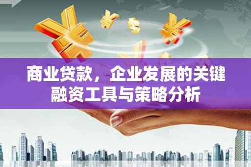 神农架商业贷款，企业发展的关键融资工具与策略分析