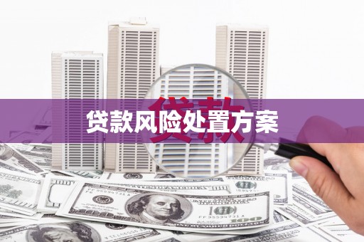 神农架贷款风险处置方案