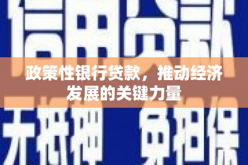 神农架政策性银行贷款，推动经济发展的关键力量