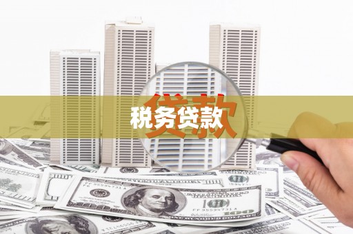 神农架税务贷款