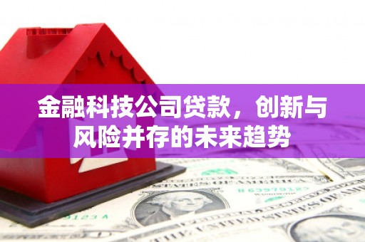 神农架金融科技公司贷款，创新与风险并存的未来趋势