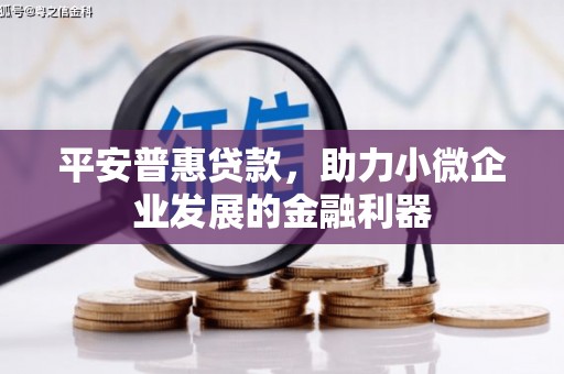 神农架平安普惠贷款，助力小微企业发展的金融利器