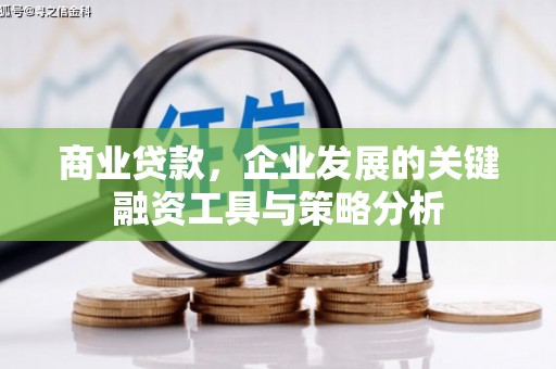 神农架商业贷款，企业发展的关键融资工具与策略分析