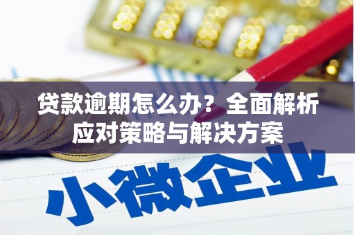 神农架贷款逾期怎么办？全面解析应对策略与解决方案