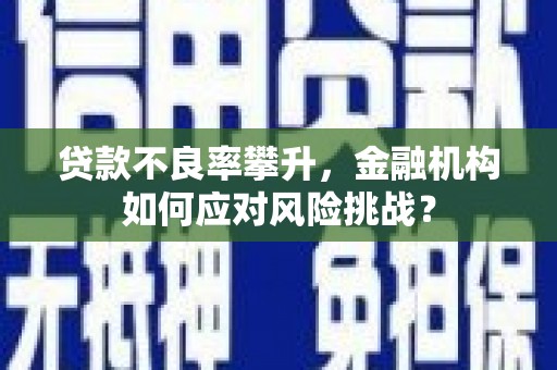 神农架贷款不良率攀升，金融机构如何应对风险挑战？
