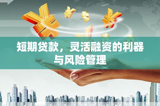 神农架短期贷款，灵活融资的利器与风险管理