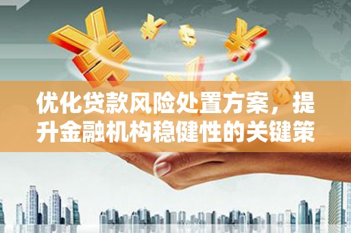神农架优化贷款风险处置方案，提升金融机构稳健性的关键策略