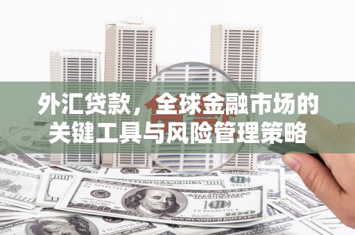 神农架外汇贷款，全球金融市场的关键工具与风险管理策略