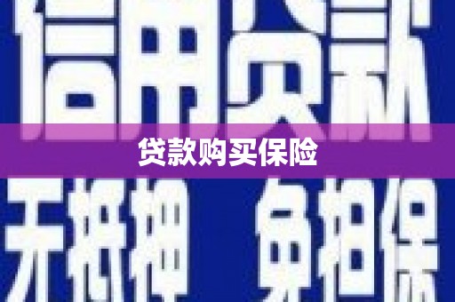 神农架贷款购买保险
