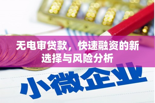 神农架无电审贷款，快速融资的新选择与风险分析