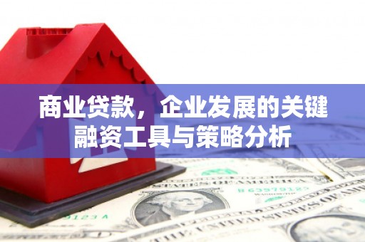 神农架商业贷款，企业发展的关键融资工具与策略分析