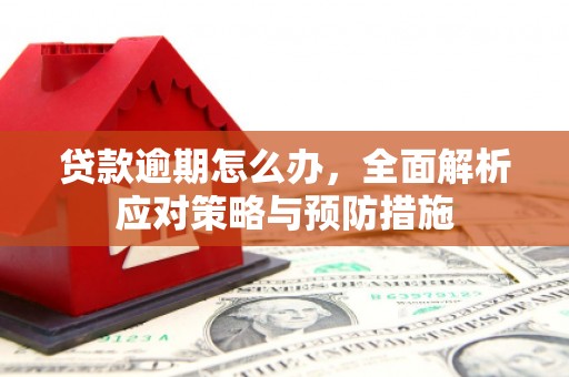 神农架贷款逾期怎么办，全面解析应对策略与预防措施