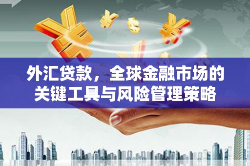 神农架外汇贷款，全球金融市场的关键工具与风险管理策略