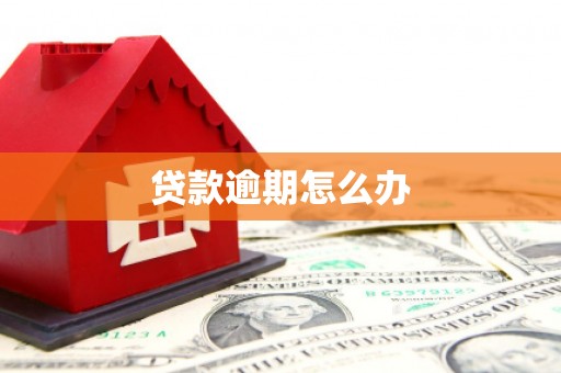 神农架贷款逾期怎么办