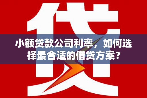 神农架小额贷款公司利率，如何选择最合适的借贷方案？